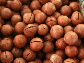 東莞市樟木頭尚品藥材干果行 傳統與現代交融的養生新選擇